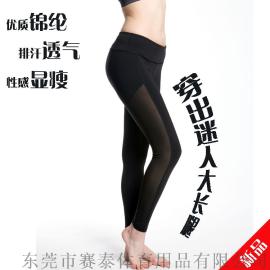 厂家批发专业跑步健身运动紧身裤 透气速干瑜伽健身裤