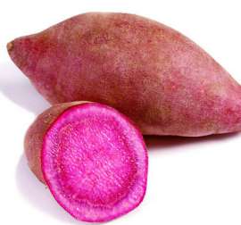 红薯 新鲜红薯 紫薯 番薯地瓜