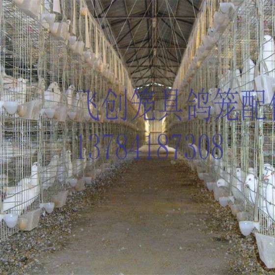 鸽子笼厂家批发三层鸽笼 鸽子配对笼