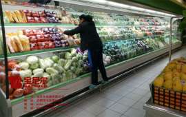 日照市水果蔬菜冷藏保鲜柜的厂家和直销价格